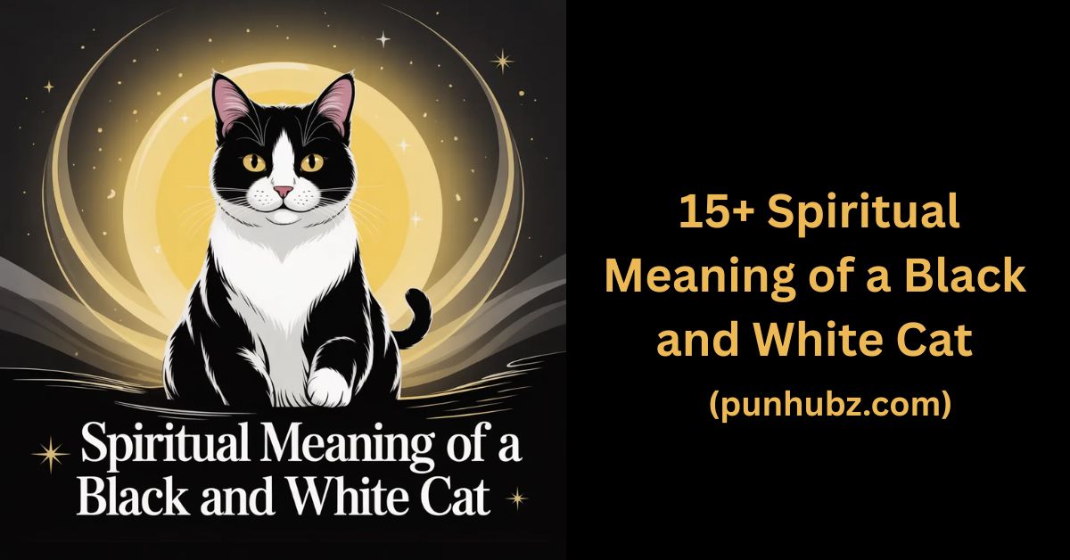 Mystical black and white cat under glowing yellow light representing the Spiritual Meaning of Black and White Cat, symbolizing balance, intuition, and harmony.